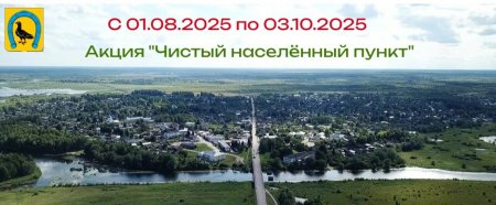 В период с 01 августа по 03 октября 2025 года на территории Санчурского муниципального округа объявляется Акция «Чистый населённый пункт»