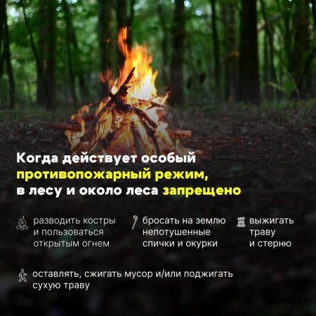 Особый противопожарный режим в лесах