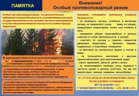 Особый противопожарный режим в лесах