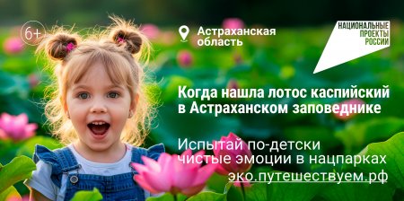 Россиян приглашают пройти экологичными маршрутами