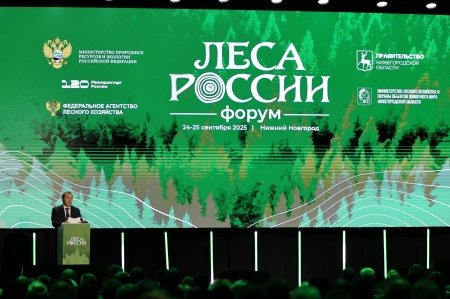 Алексей Кузьмицкий: решение вопросов повышения эффективности использования потенциала лесного фонда, а также совершенствования системы управления лесными ресурсами будет способствовать сохранению и преумножению лесов России