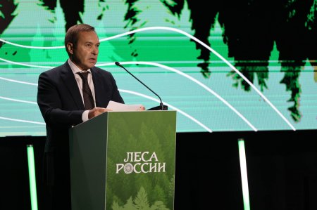 Алексей Кузьмицкий: решение вопросов повышения эффективности использования потенциала лесного фонда, а также совершенствования системы управления лесными ресурсами будет способствовать сохранению и преумножению лесов России